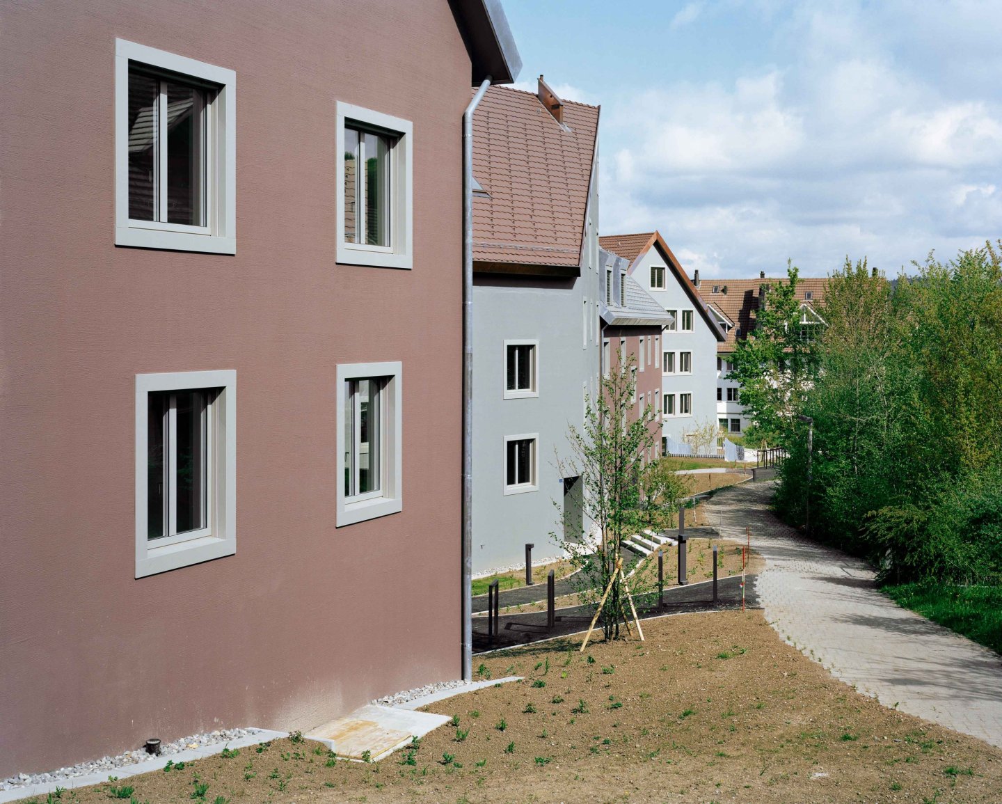 Blättler Dafflon - Wohnsiedlung Hofwies, Bonstetten Studienauftrag 1. Preis